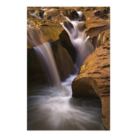 VS, Utah, Escalante Wilderness. Waterval in 2 Foto Afdruk (Voorkant)