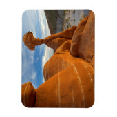 VS, Utah, Grand Staircase Escalante-National Magneet (Verticaal)