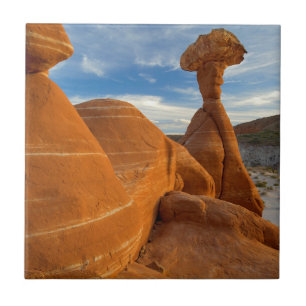VS, Utah, Grand Staircase Escalante-National Tegeltje