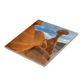 VS, Utah, Grand Staircase Escalante-National Tegeltje (Zijkant)