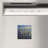 VS, Utah, Great Basin, Saltair, Great Salt Magneet (Insitu (Vaatwasser))