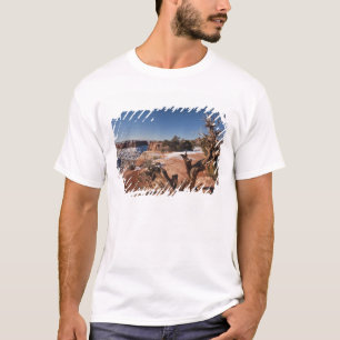 VS, Utah, Moab. Nationaal park Canyonlands, T-shirt