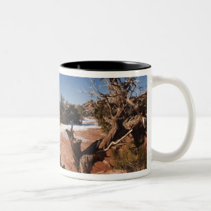 VS, Utah, Moab. Nationaal park Canyonlands, Tweekleurige Koffiemok
