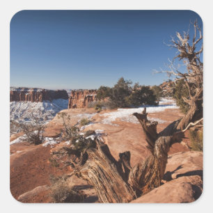 VS, Utah, Moab. Nationaal park Canyonlands, Vierkante Sticker