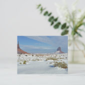 VS, Utah, Monument Valley. Alsem zichtbaar Briefkaart (Staand voorkant)