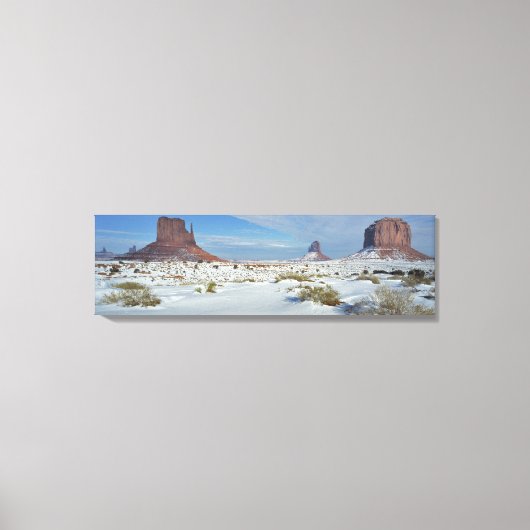 VS, Utah, Monument Valley. Alsem zichtbaar Canvas Afdruk (Voorkant)