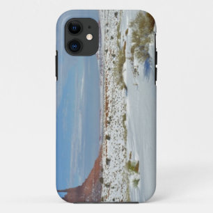 VS, Utah, Monument Valley. Alsem zichtbaar iPhone 11 Hoesje