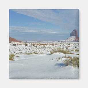 VS, Utah, Monument Valley. Alsem zichtbaar Magneet