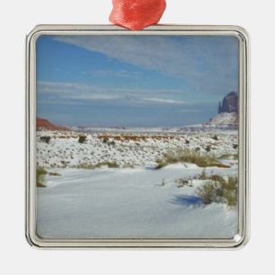 VS, Utah, Monument Valley. Alsem zichtbaar Metalen Ornament