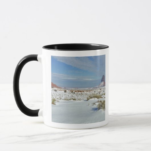 VS, Utah, Monument Valley. Alsem zichtbaar Mok (Links)