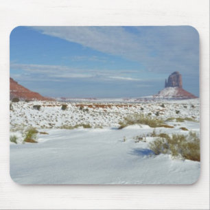 VS, Utah, Monument Valley. Alsem zichtbaar Muismat