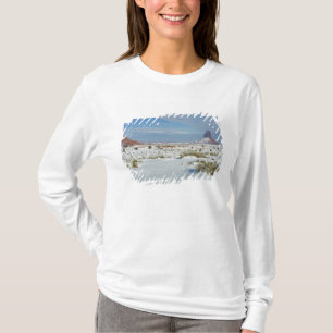 VS, Utah, Monument Valley. Alsem zichtbaar T-shirt