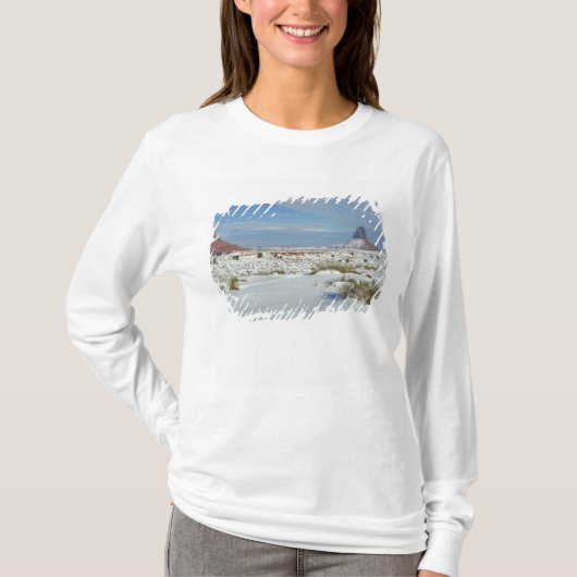 VS, Utah, Monument Valley. Alsem zichtbaar T-shirt (Voorkant)