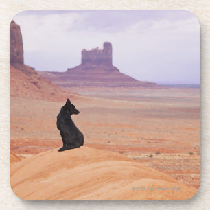 VS, Utah, Monument Valley, Dog die op rots zit Bier Onderzetter