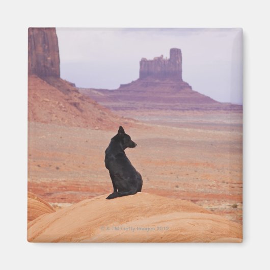 VS, Utah, Monument Valley, Dog die op rots zit Magneet (Voorkant)