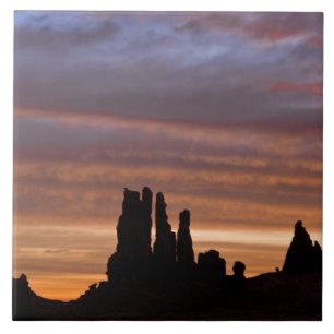 VS, Utah, Monument Valley National Park. 2 Tegeltje