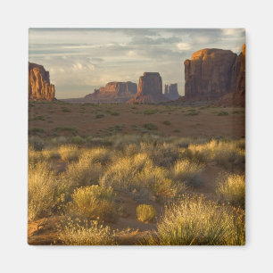 VS, Utah, Monument Valley National Park. Magneet
