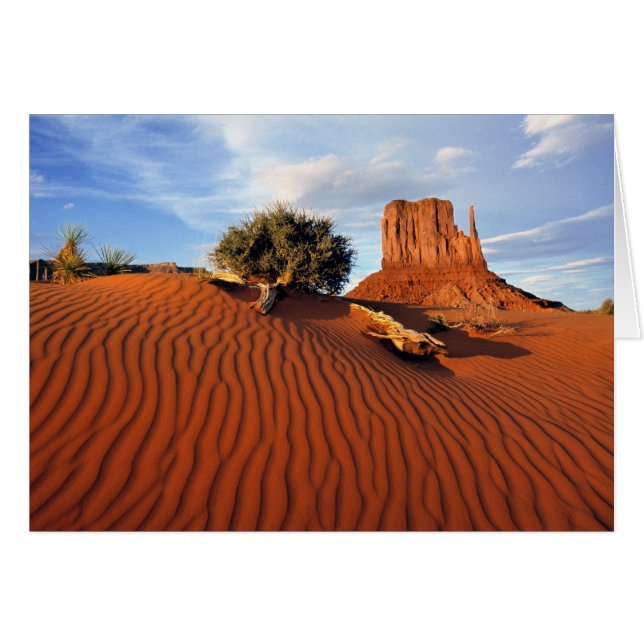 VS, Utah, Monument Valley. Wind creëert (Voorkant Horizontaal)