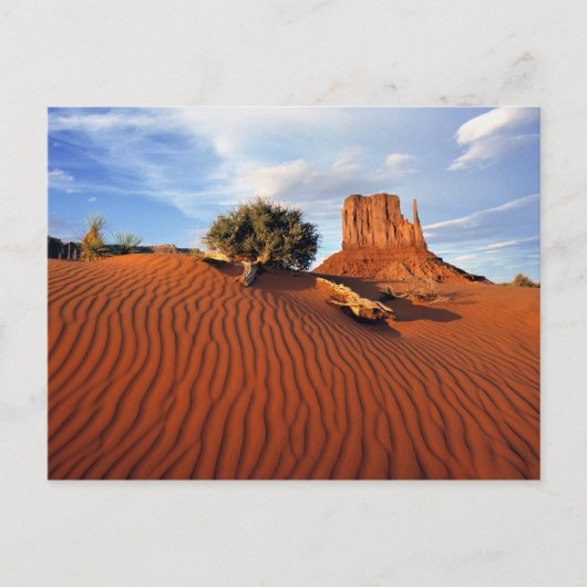 VS, Utah, Monument Valley. Wind creëert Briefkaart (Voorkant)