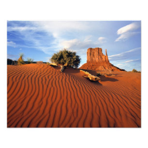 VS, Utah, Monument Valley. Wind creëert Foto Afdruk