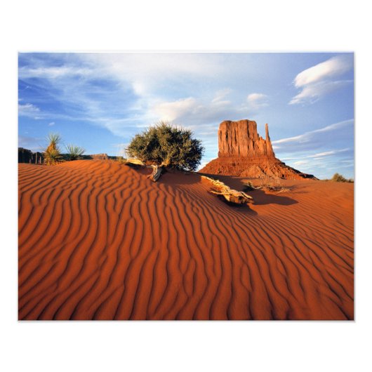 VS, Utah, Monument Valley. Wind creëert Foto Afdruk (Voorkant)