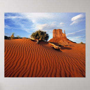 VS, Utah, Monument Valley. Wind creëert Poster