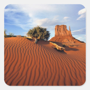 VS, Utah, Monument Valley. Wind creëert Vierkante Sticker