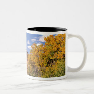 VS, Utah, nabij Canyonlands National Park op Tweekleurige Koffiemok