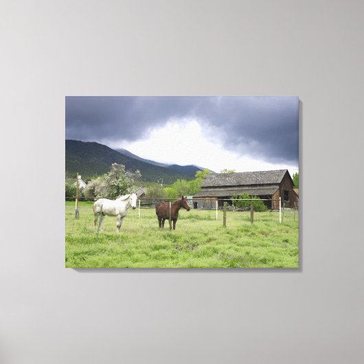 VS, Utah, paarden op ranch Canvas Afdruk (Voorkant)