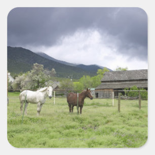 VS, Utah, paarden op ranch Vierkante Sticker