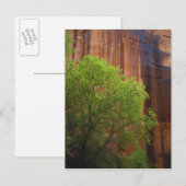 VS, Utah, Paria Canyon- Vermillion Cliffs Briefkaart (Voorkant / Achterkant)