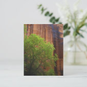 VS, Utah, Paria Canyon- Vermillion Cliffs Briefkaart (Staand voorkant)