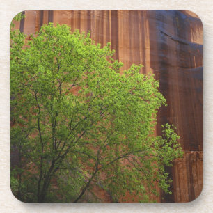 VS, Utah, Paria Canyon- Vermillion Cliffs Drankjes Onderzetter