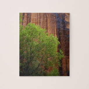 VS, Utah, Paria Canyon- Vermillion Cliffs Legpuzzel