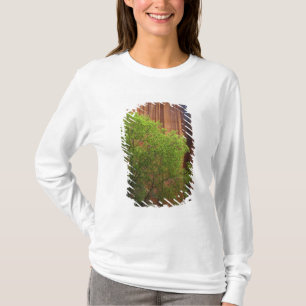 VS, Utah, Paria Canyon- Vermillion Cliffs T-shirt