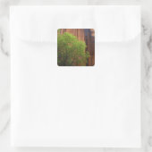 VS, Utah, Paria Canyon- Vermillion Cliffs Vierkante Sticker (Tas)