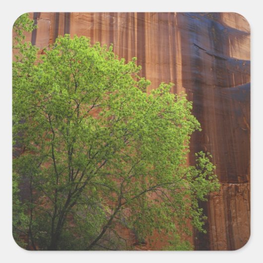 VS, Utah, Paria Canyon- Vermillion Cliffs Vierkante Sticker (Voorkant)