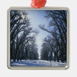 VS, Utah, Salt Lake City, Liberty Park, Metalen Ornament