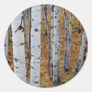 VS, Utah, Uinta-Wasatch-Cache Nationaal Bos 2 Ronde Sticker