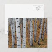 VS, Utah, Uinta-Wasatch-Cache National Forest 2 Briefkaart (Voorkant / Achterkant)