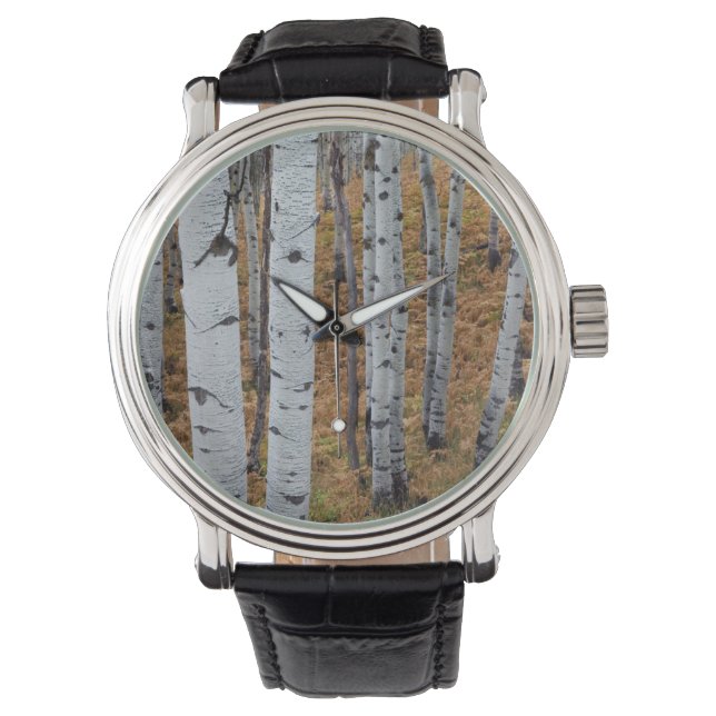 VS, Utah, Uinta-Wasatch-Cache National Forest 2 Horloge (Voorkant)