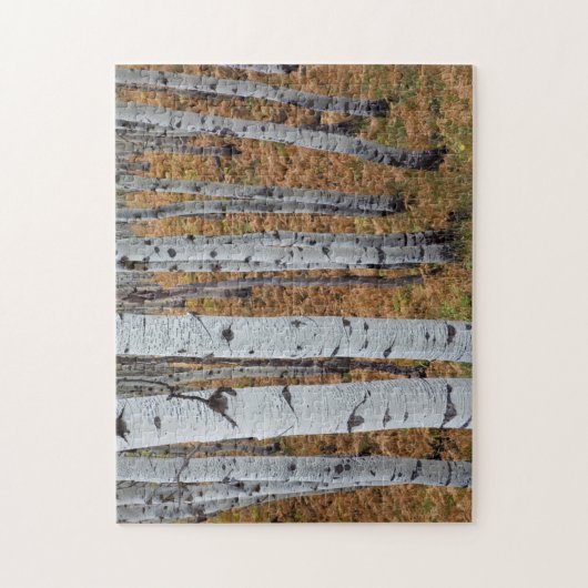 VS, Utah, Uinta-Wasatch-Cache National Forest 2 Legpuzzel (Verticaal)