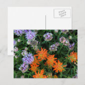 VS, Utah, Uinta-Wasatch-Cache National Forest 3 Briefkaart (Voorkant / Achterkant)