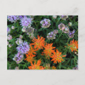 VS, Utah, Uinta-Wasatch-Cache National Forest 3 Briefkaart (Voorkant)