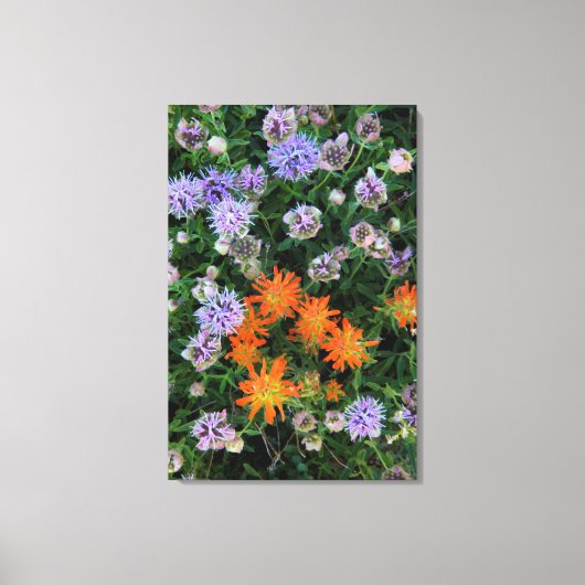 VS, Utah, Uinta-Wasatch-Cache National Forest 3 Canvas Afdruk (Voorkant)