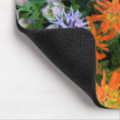 VS, Utah, Uinta-Wasatch-Cache National Forest 3 Muismat (Hoek)