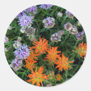 VS, Utah, Uinta-Wasatch-Cache National Forest 3 Ronde Sticker
