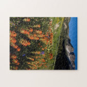 VS, Utah, Uinta-Wasatch-Cache National Forest Legpuzzel (Horizontaal)