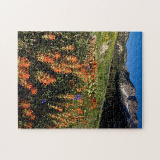 VS, Utah, Uinta-Wasatch-Cache National Forest Legpuzzel (Horizontaal)