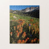 VS, Utah, Uinta-Wasatch-Cache National Forest Legpuzzel (Verticaal)